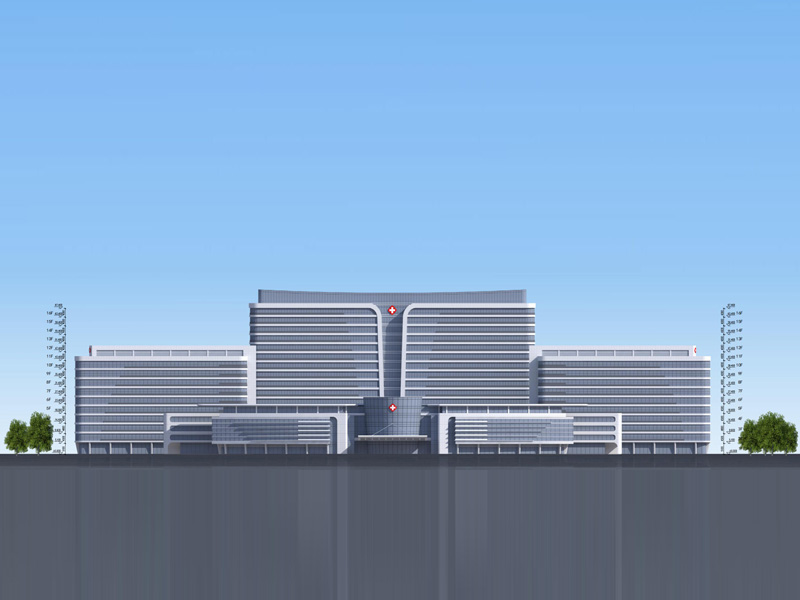 東平醫(yī)院幕墻工程項目